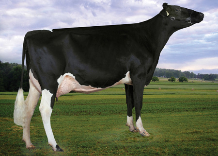 KARONA GOLDWYN DUNCAN